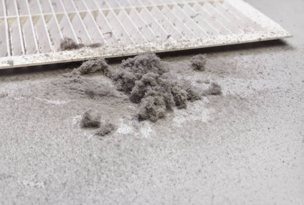 Best Duct Cleaning for Offices  in Longview, TX