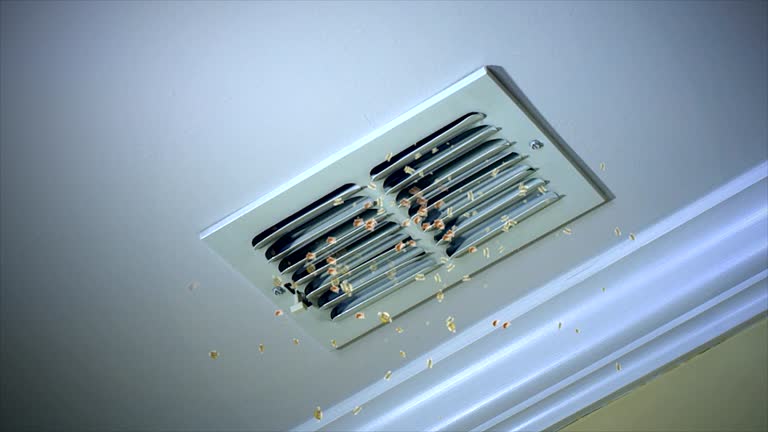 Best Affordable HVAC Duct Cleaning  in Longview, TX